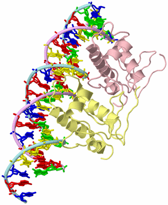 Image Biological Unit 10