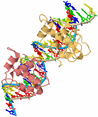 Image Biological Unit 11