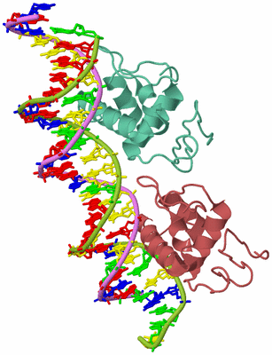 Image Biological Unit 12