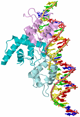 Image Biological Unit 2