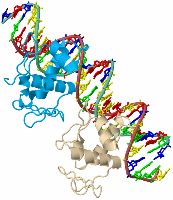 Image Biological Unit 3