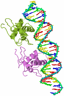 Image Biological Unit 4