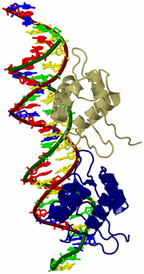 Image Biological Unit 5