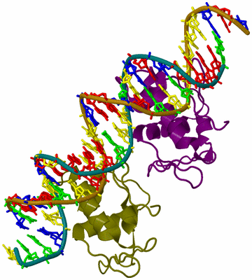 Image Biological Unit 6