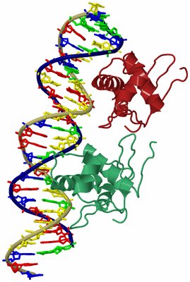 Image Biological Unit 7