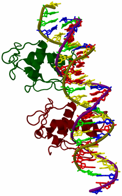 Image Biological Unit 8