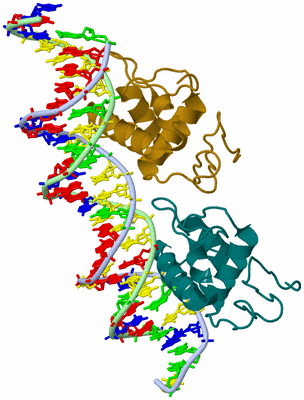 Image Biological Unit 9