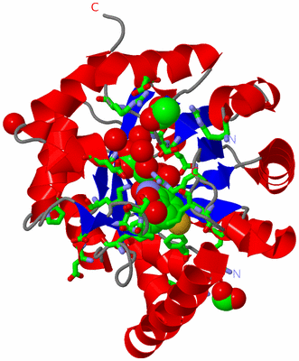 Image Asym./Biol. Unit - sites