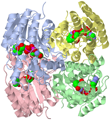 Image Asym./Biol. Unit