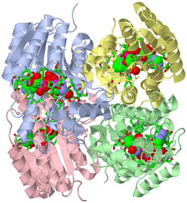 Image Asym./Biol. Unit - sites