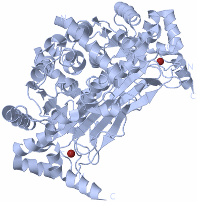 Image Biological Unit 1