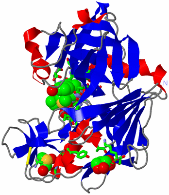 Image Asym./Biol. Unit - sites