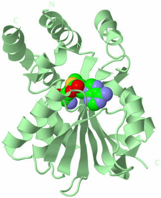 Image Biological Unit 2