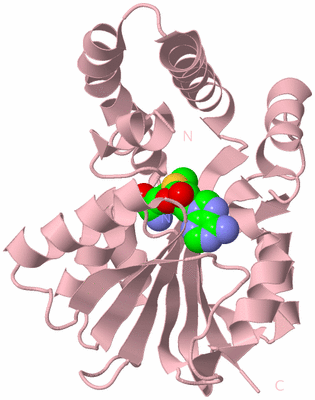 Image Biological Unit 3