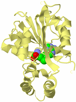 Image Biological Unit 4