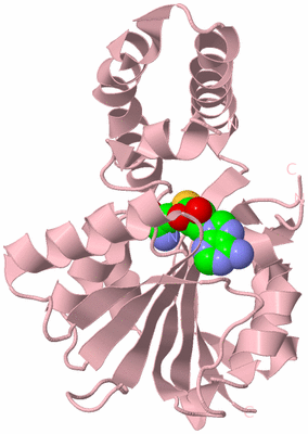 Image Biological Unit 3