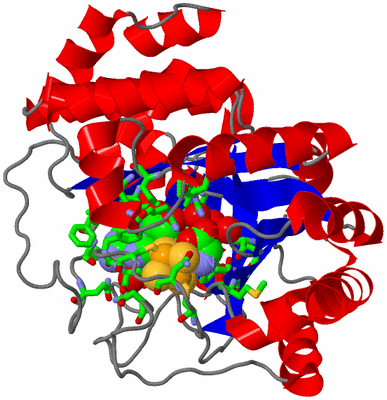 Image Asym./Biol. Unit - sites