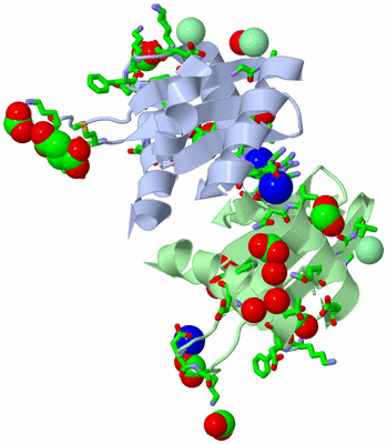 Image Biol. Unit 1 - sites