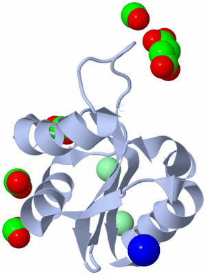 Image Biological Unit 2