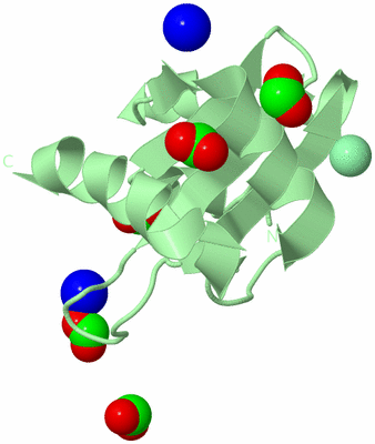 Image Biological Unit 3