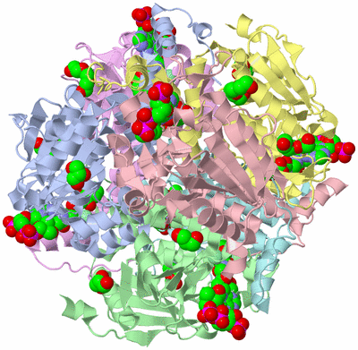 Image Asym./Biol. Unit