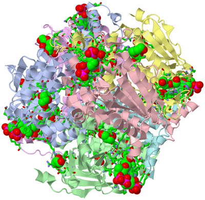 Image Asym./Biol. Unit - sites