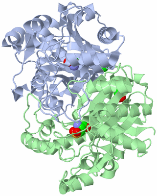 Image Asym./Biol. Unit