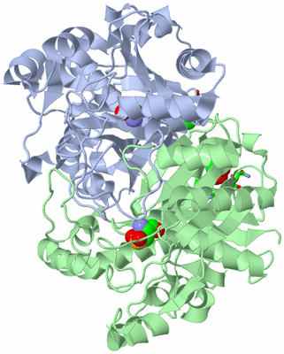 Image Asym./Biol. Unit - sites