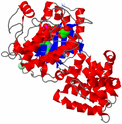 Image Asym./Biol. Unit