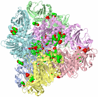 Image Biological Unit 1