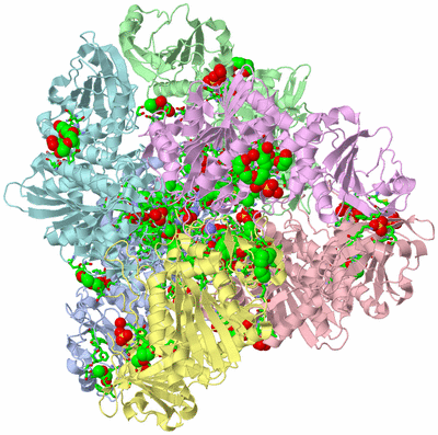 Image Biol. Unit 1 - sites