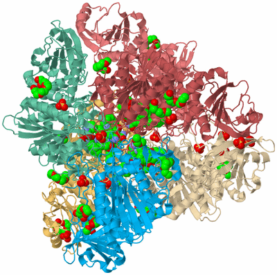 Image Biological Unit 2