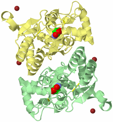 Image Biological Unit 1