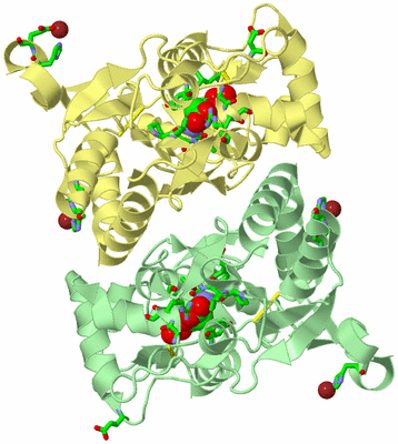 Image Biol. Unit 1 - sites