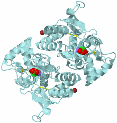 Image Biological Unit 2