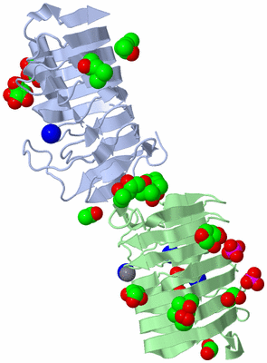 Image Biological Unit 3