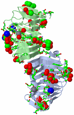 Image Asym. Unit - sites