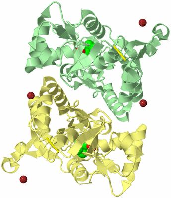 Image Biological Unit 1