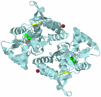 Image Biological Unit 2