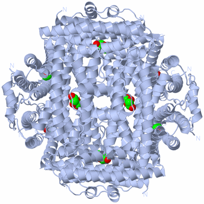 Image Biological Unit 1