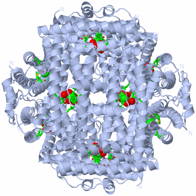 Image Biol. Unit 1 - sites