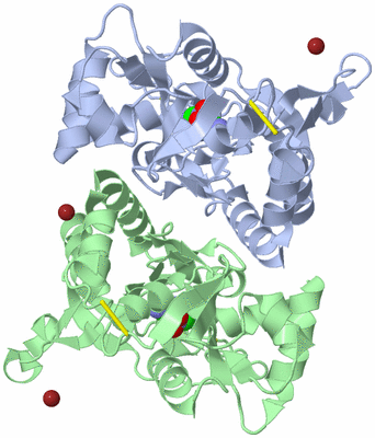 Image Biological Unit 1