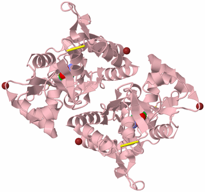 Image Biological Unit 2