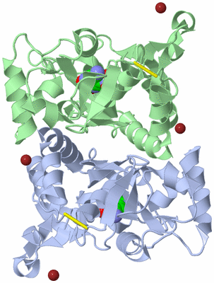 Image Asym./Biol. Unit