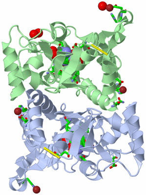 Image Asym./Biol. Unit - sites