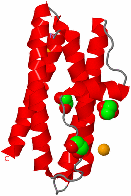 Image Asymmetric Unit