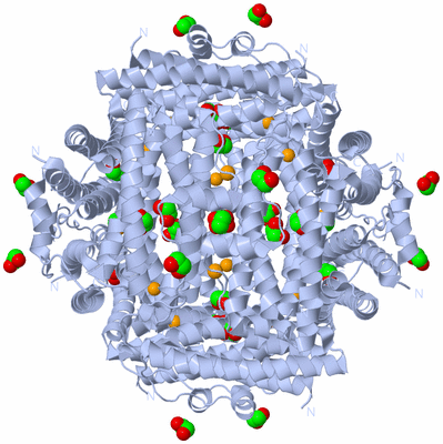 Image Biological Unit 1