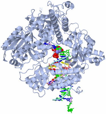 Image Biological Unit 1