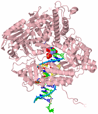 Image Biological Unit 3