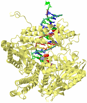 Image Biological Unit 4